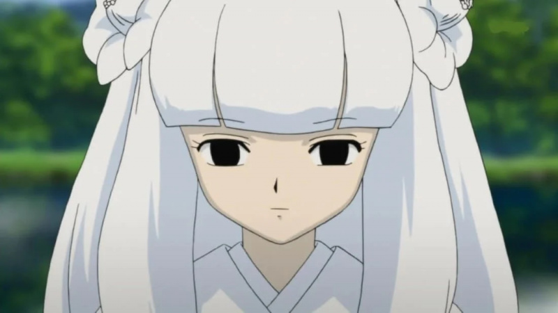   Naraku's incarnations