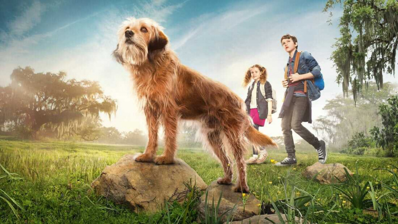   Benji (2018)