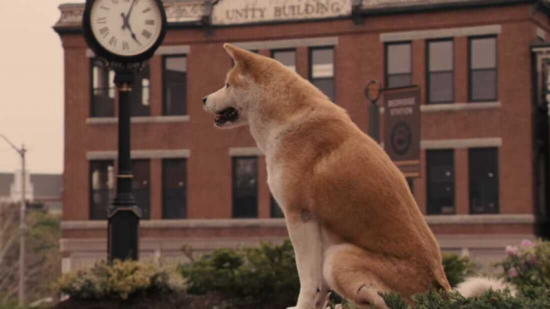   Hachi: Un câine's Tale (2009)