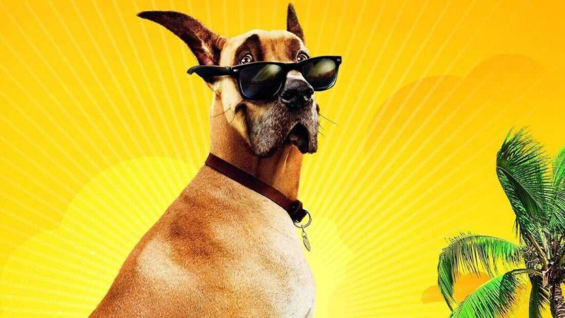   Marmaduke (2010)