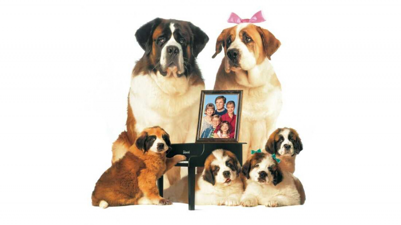   Beethoven's 2nd (1993)