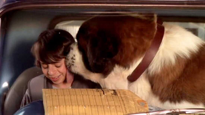   Beethoven's Big Break (2008)