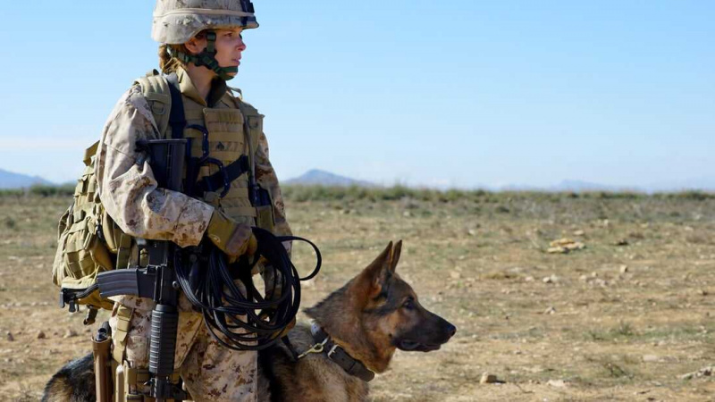   Megan Leavey (2017)