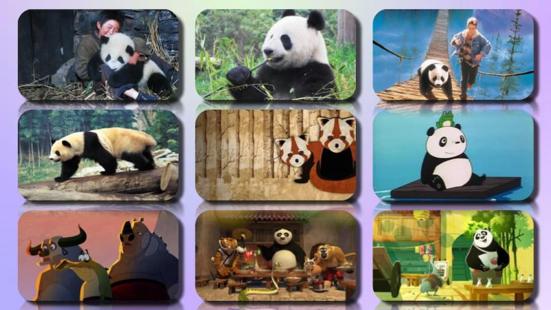   Os 19 melhores filmes de panda de todos os tempos