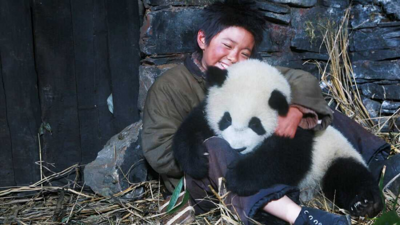   Trilha do Panda (2009)