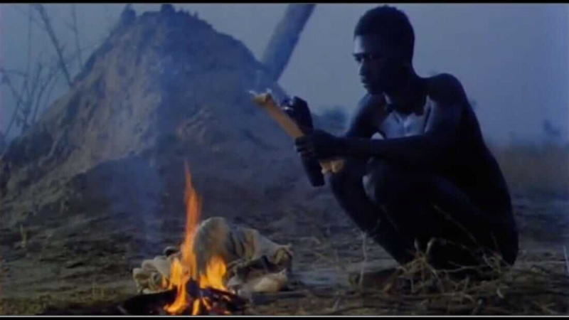   Yeelen (1987)
