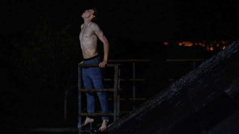   Wolf (2021)