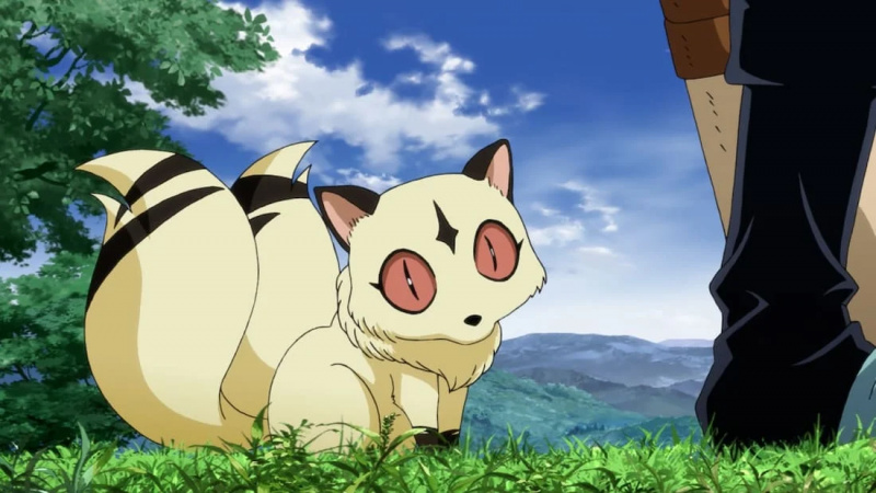   Kirara