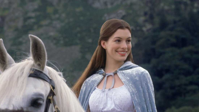   Elle a enchanté (2004)