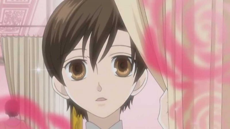   Haruhi Fujioka (Club anfitrión de la escuela secundaria Ouran)