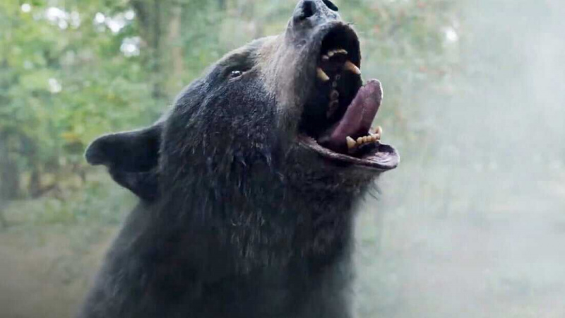  Ours de cocaïne (2023)