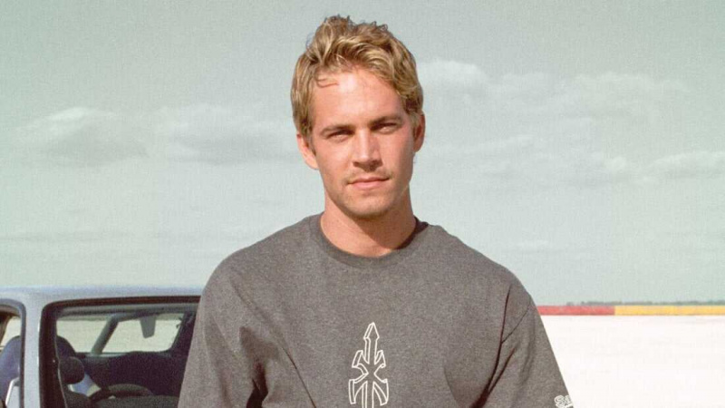   Brian O'Connor (The Fast & Furious Series)