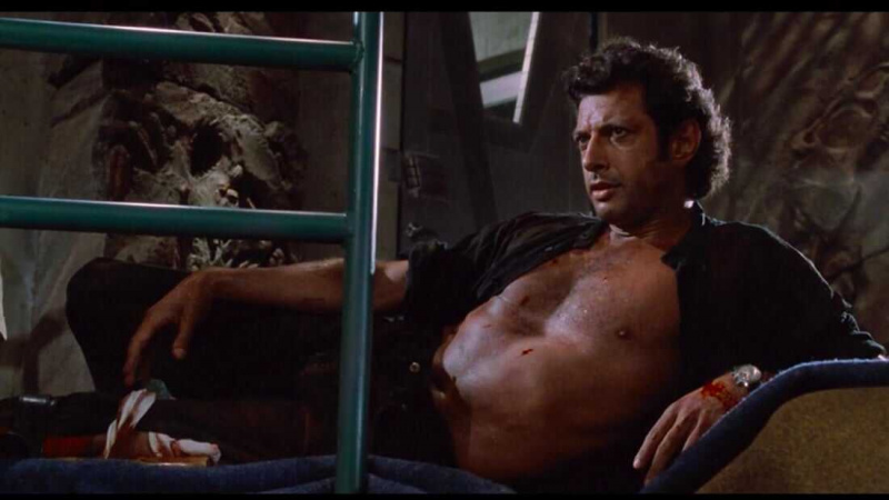   Ian Malcolm (Jurassic Park)