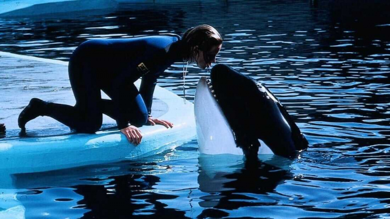   jaws filmer i ordning [Where To Watch]