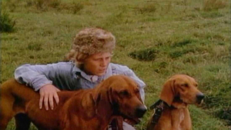   Où pousse la fougère rouge (1974)