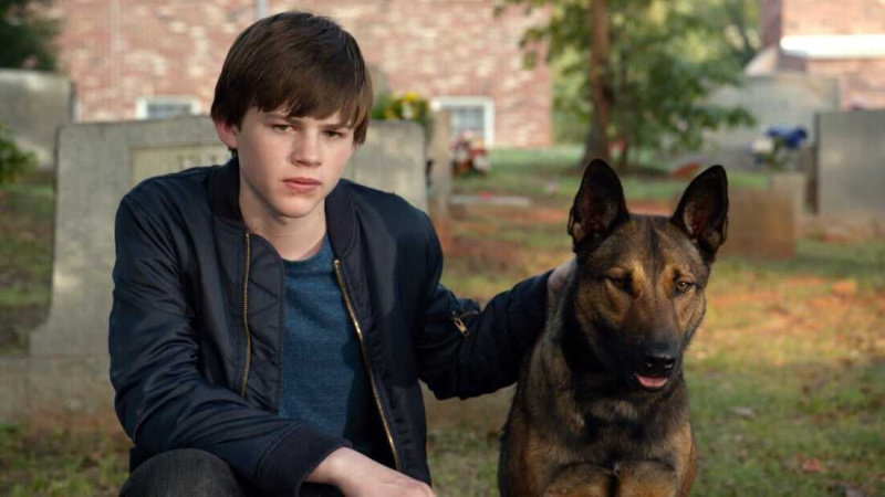   Max (2015)