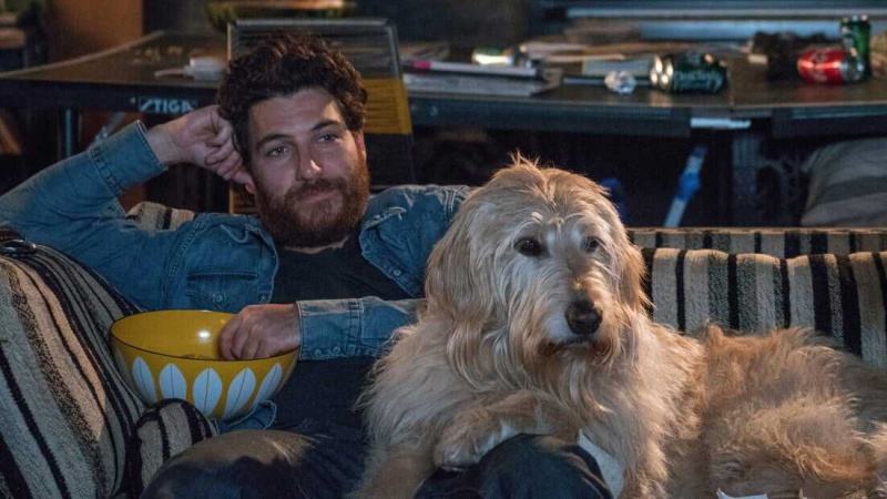   Journées canines (2018)