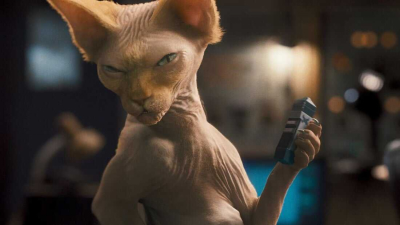  Chats et chiens : la revanche de Kitty Galore (2010)