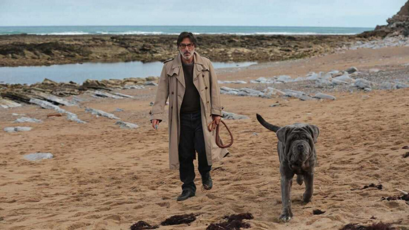   Mon chien stupide (2019)