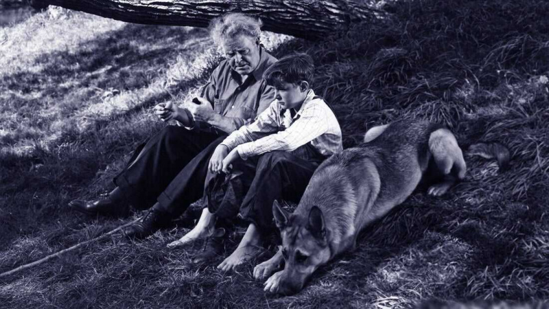   Mon chien Shep (1946)