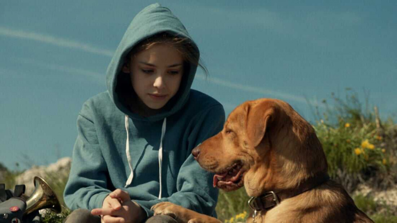   Dieu blanc (2014)