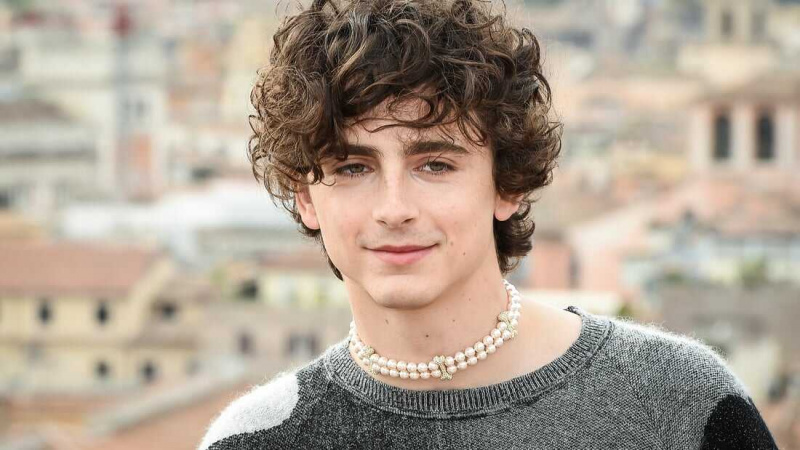   Timothée Chalamet