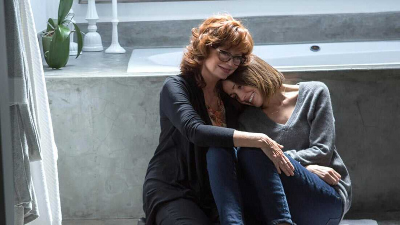   The Meddler (2015)