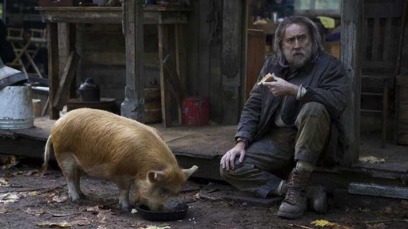   Schwein (2021)
