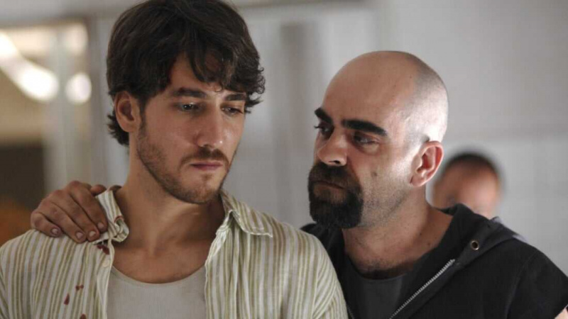  Hücre 211 (2009)