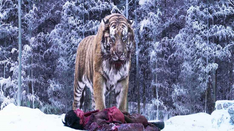   Le Tigre (2015)