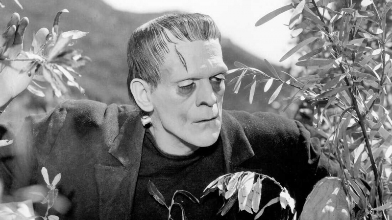  Frankenstein (1931)