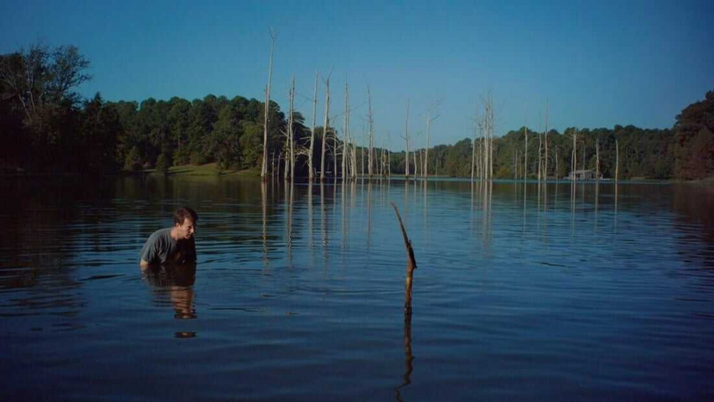   Hojas de hierba (2009)