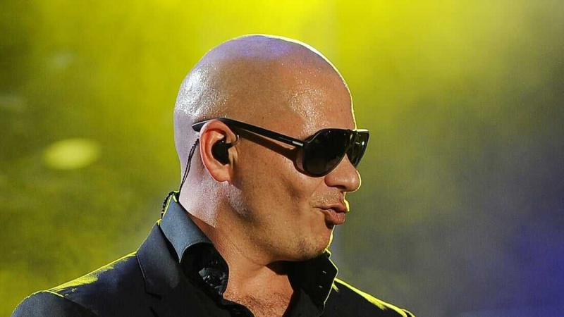   Pitbull