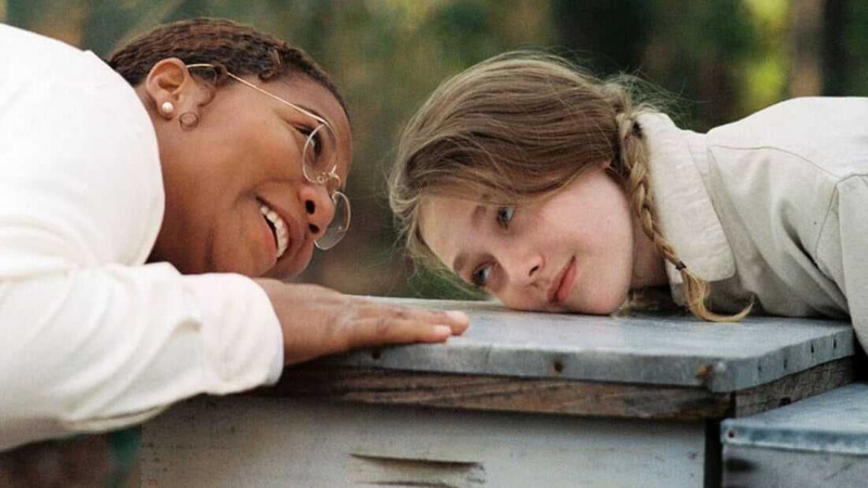   La vie secrète des abeilles (2008)
