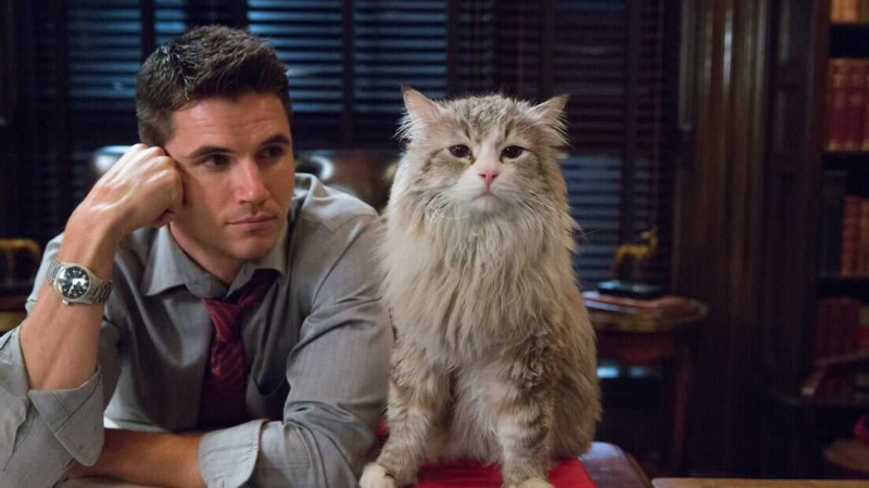   Nine Lives (2016)