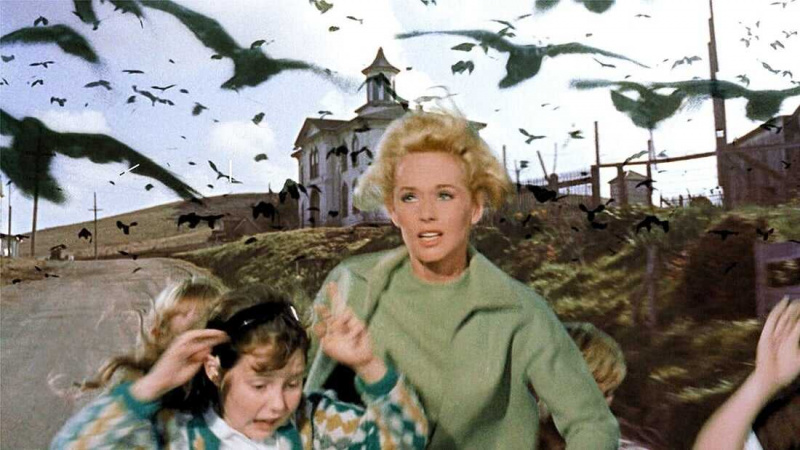   Ptaki (1963)