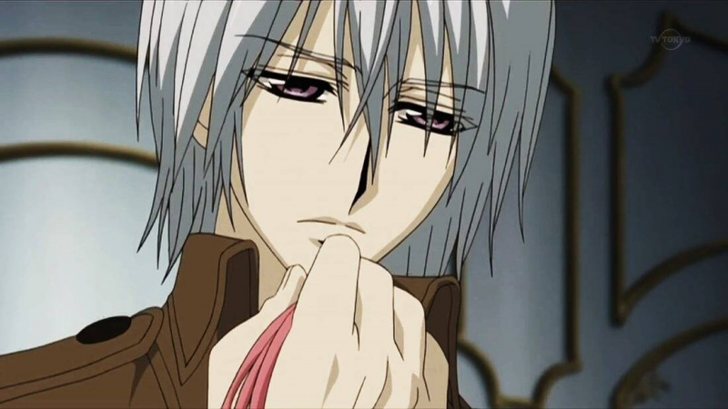  Zero et Ichiru Kiryuu (Chevalier vampire)