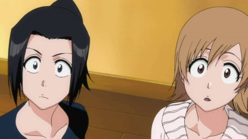   Karin et Yuzu Kurosaki (Bleach)
