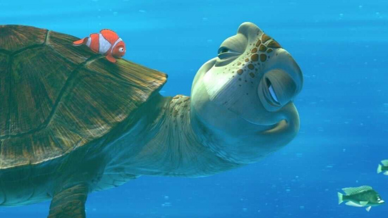   Crush (Buscando a Nemo)