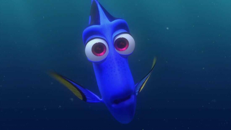   Dory (Buscando a Nemo)