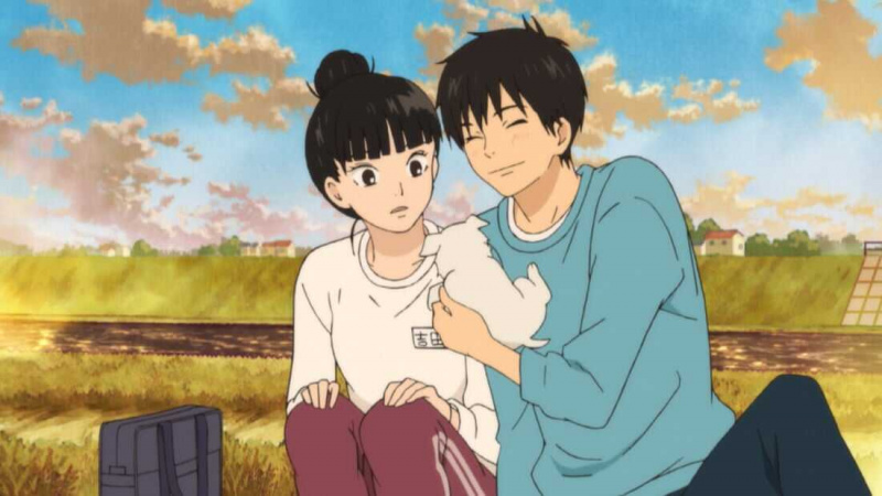   Kimi Ni Todoke