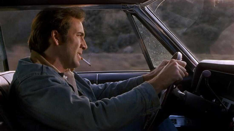   Red Rock West (1993)