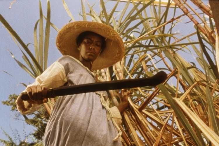 Resultado de imagem para filme sankofa