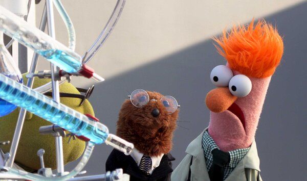 I Muppets Now spiller klassiske karakterer hovedrollen i korte reality-TV-parodier.