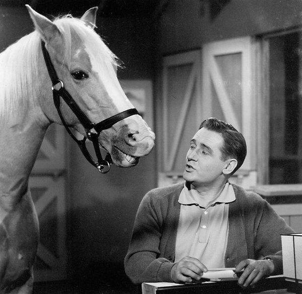 Ο Alan Young ως Wilbur Post με το αστέρι του Mister Ed, που προβλήθηκε από το 1961 έως το 1966 στο CBS.