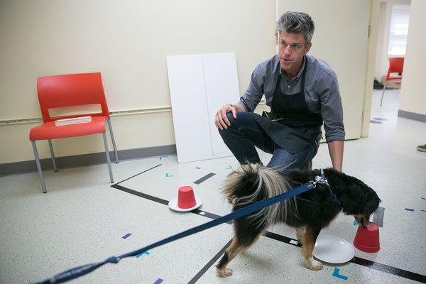 David Rees obišče Yale Canine Cognition Center za odstavek How to Pet a Dog Going Deep With David Rees na omrežju Esquire.