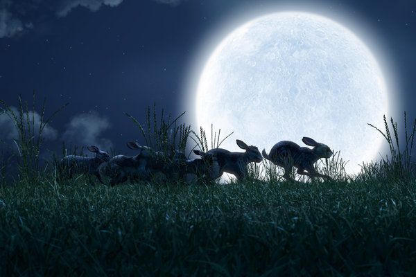 Una scena di Watership Down.