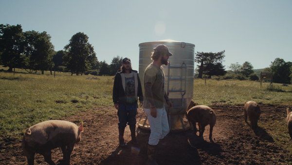 Recovery Boys, que debuta el viernes en Netflix, sigue a los adictos a los opioides que se recuperan en Jacob’s Ladder, una granja de rehabilitación en West Virginia.